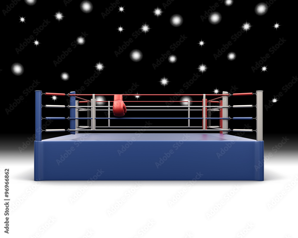 Pro Fight PRO ELITE Elevated Boxing Ring | USA Fight Shop