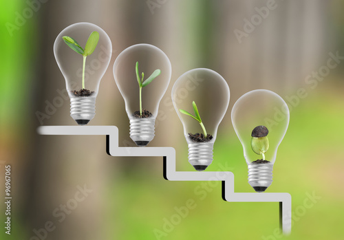 Plant in lightbulb on staircase and tree blur background , growt photo