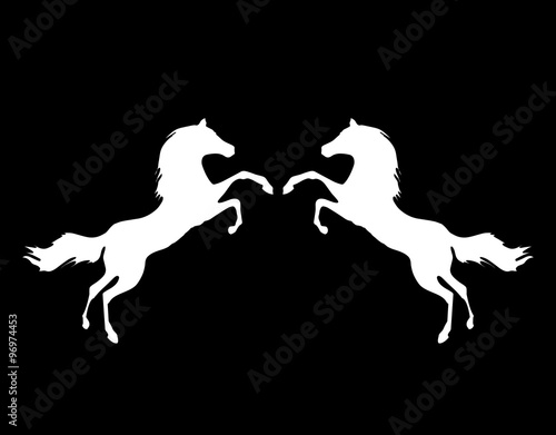 Wild horses white silhouettes Fototapet