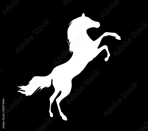 Horse vector silhouette