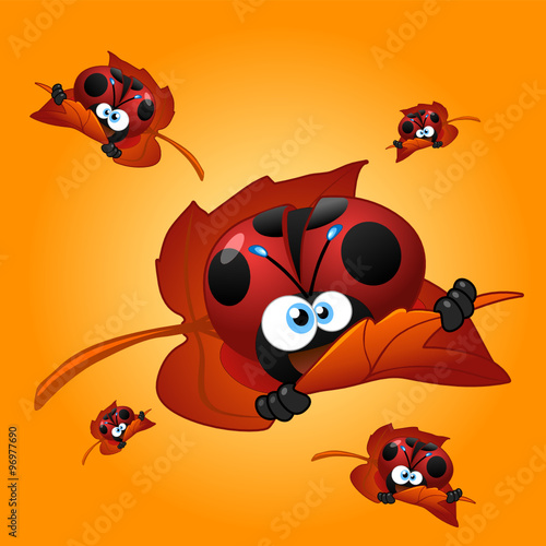coccinella foglia