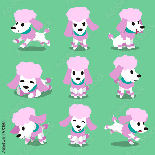 Cartoon character poodle dog poses
