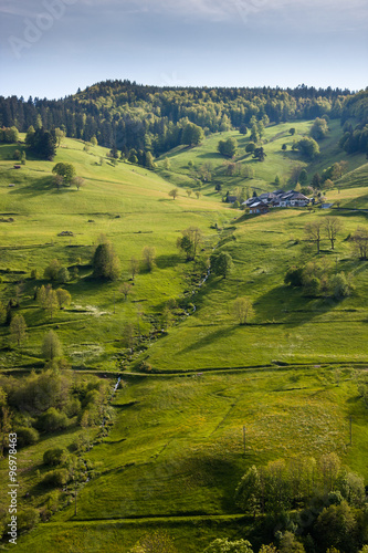 Wallpaper Mural Todtnau Torontodigital.ca