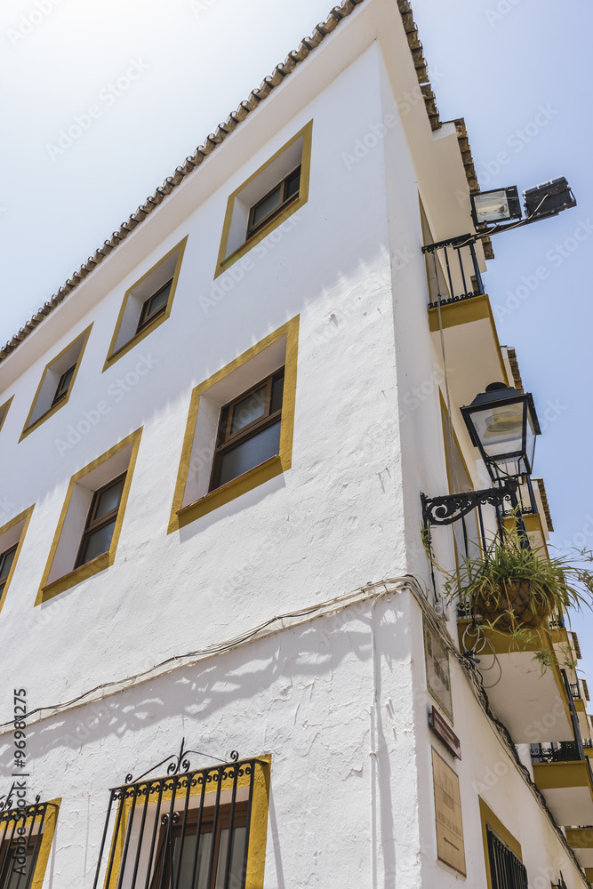 traditional Andalusian streets with flowers and white houses in