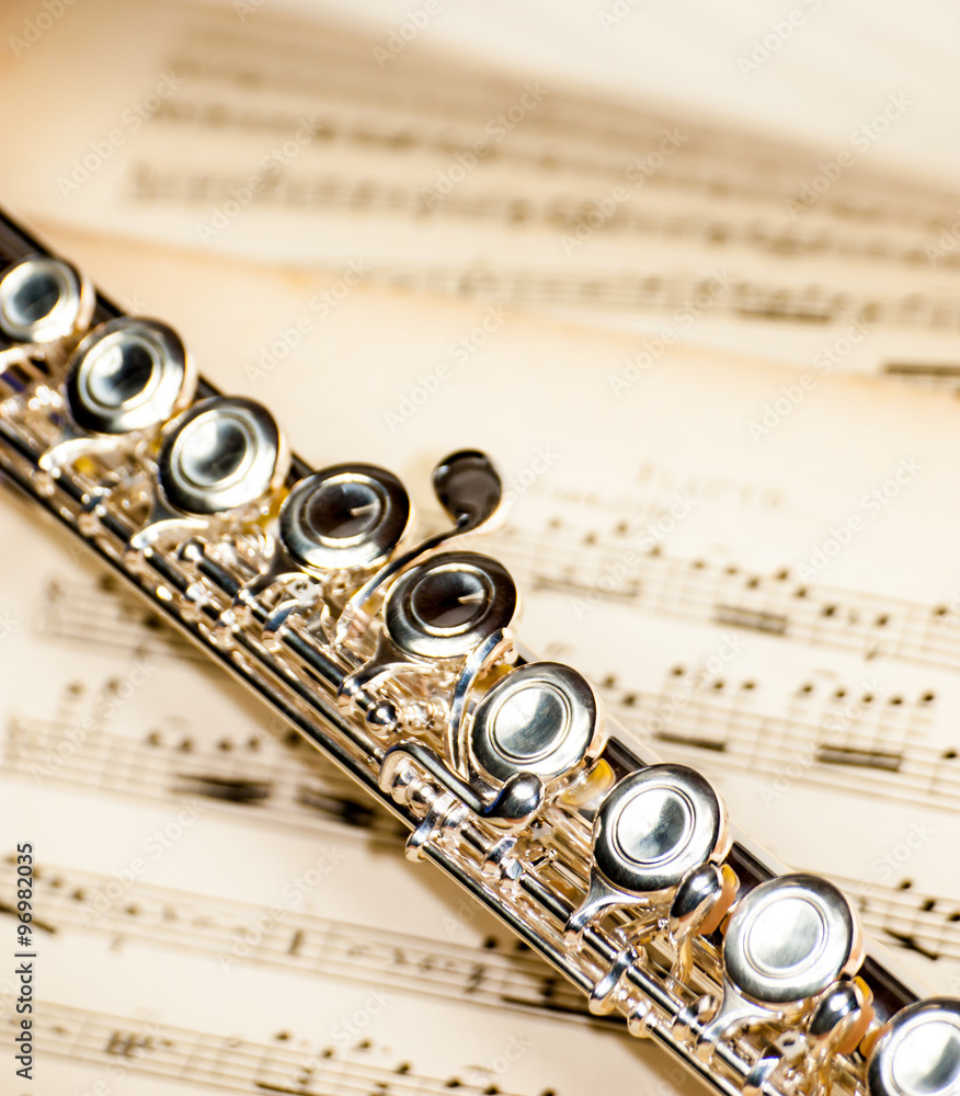 Fototapeta premium Querflöte