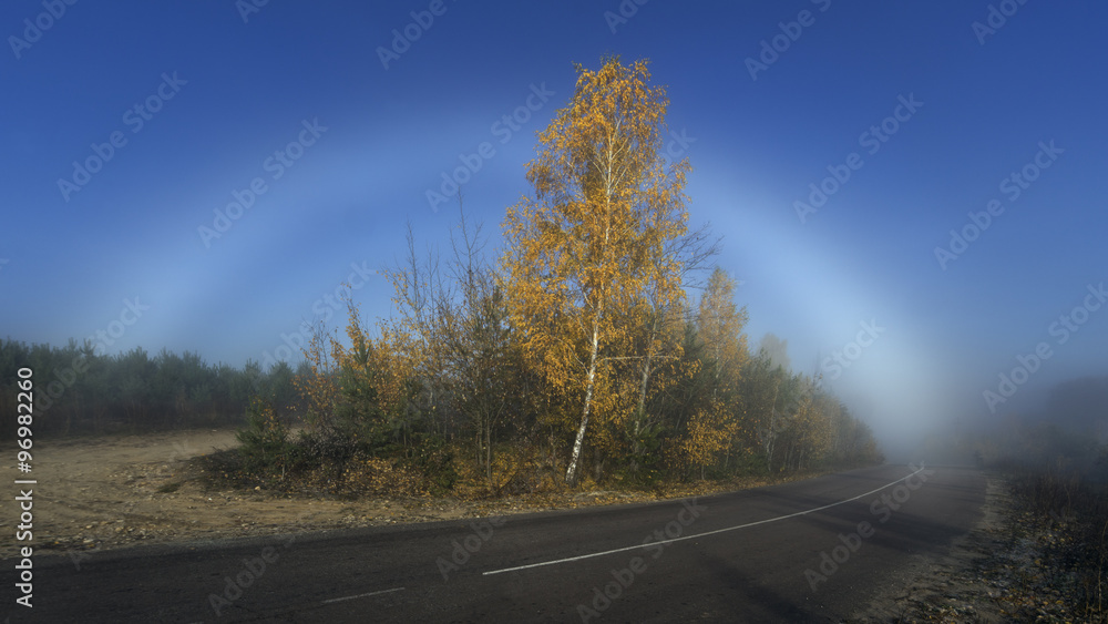 Fototapeta premium The Fogbow