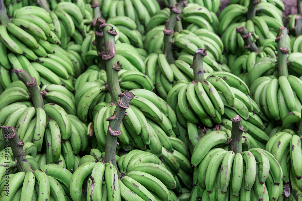 green banana group on market