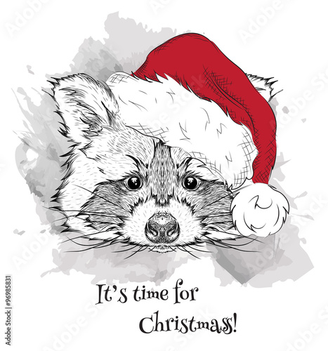 The christmas poster with the image raccoon portrait in Santa's hat. Hand draw vector illustration.