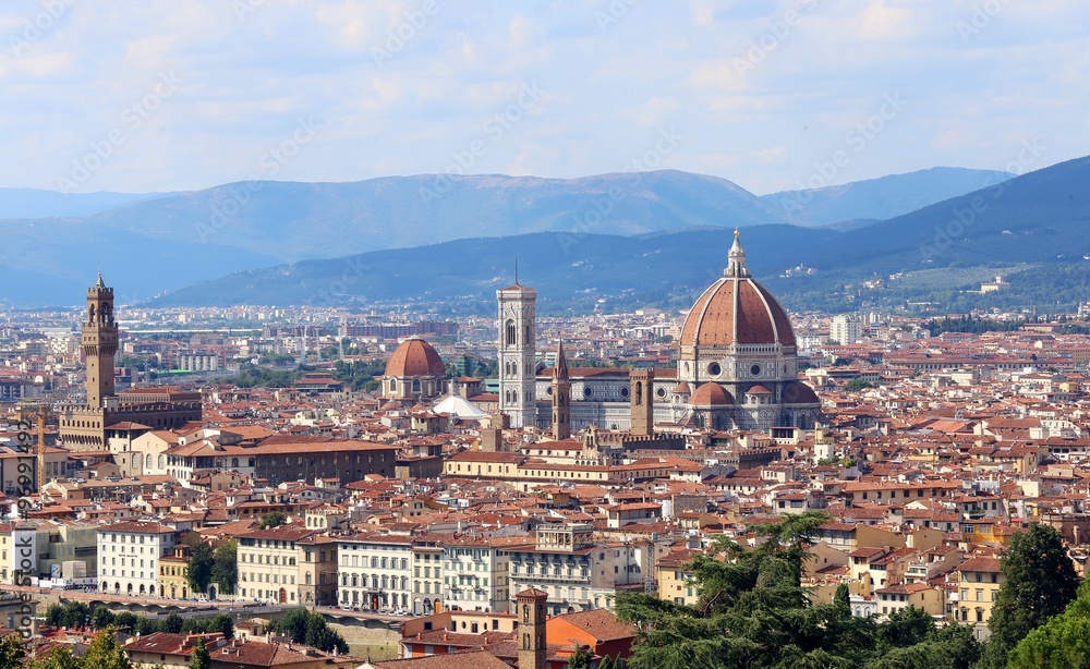 Italy FLORENCE perfect panoramic view everything in focus