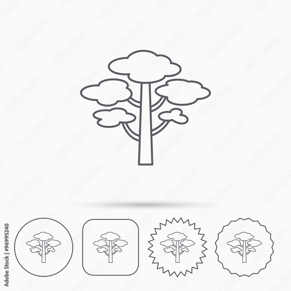 Pine tree icon. Forest wood sign. Pine tree icon. Forest wood sign.