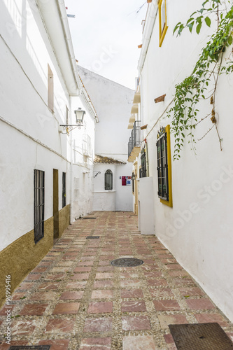 architecture and streets of white flowers in Marbella Andalucia