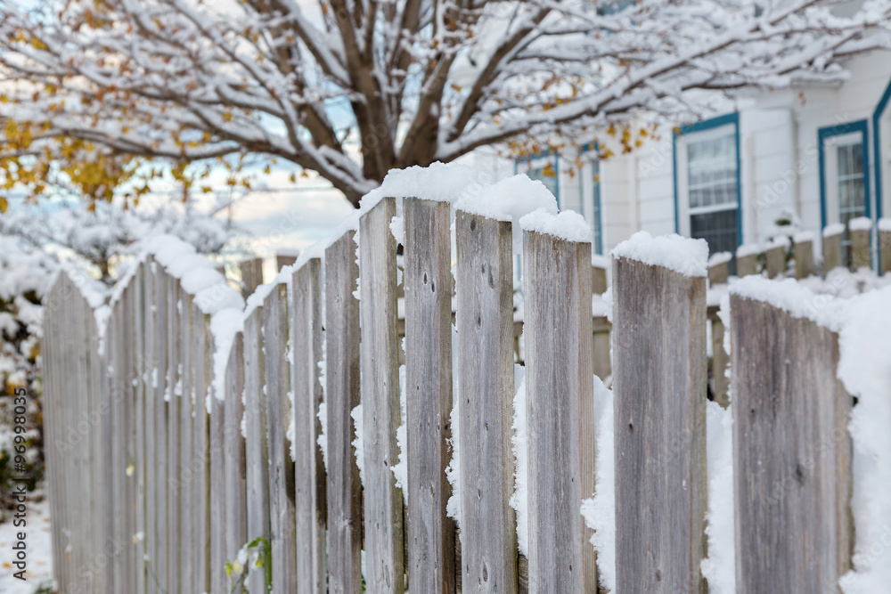 Back Yard Fence Back Yard Fence