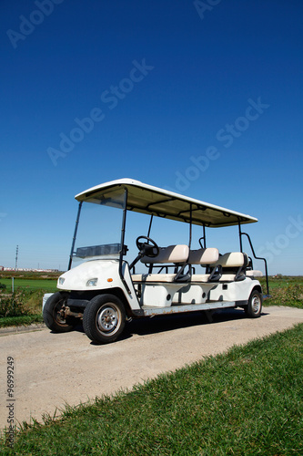 White golf carts at the green golf course