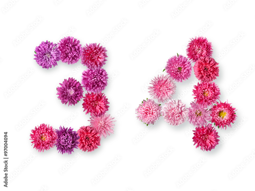 figures 3 and 4 of the bright asters on a white background