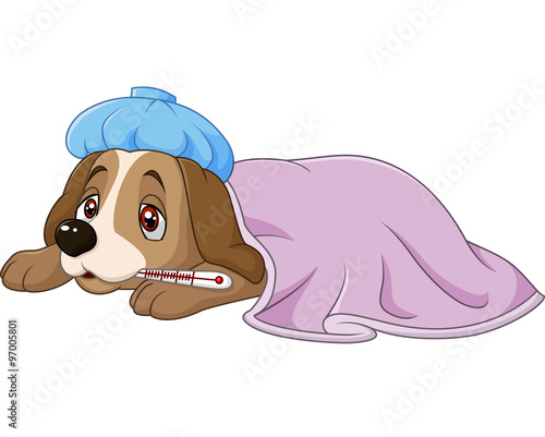 Cartoon sick dog with ice bag and  thermometer , isolated on white background