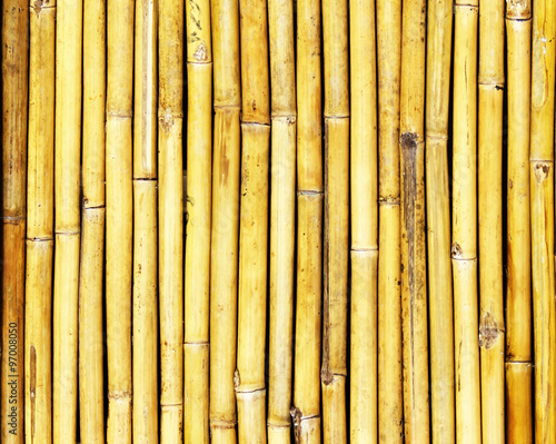 bamboo background