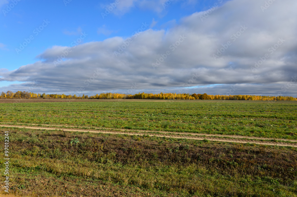 Fototapeta premium Autumn landscape