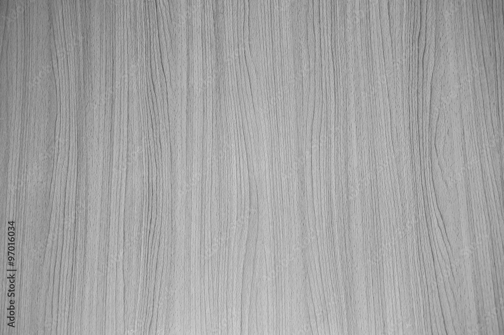 texture of wood background. black and white tone texture of wood background. black and white tone