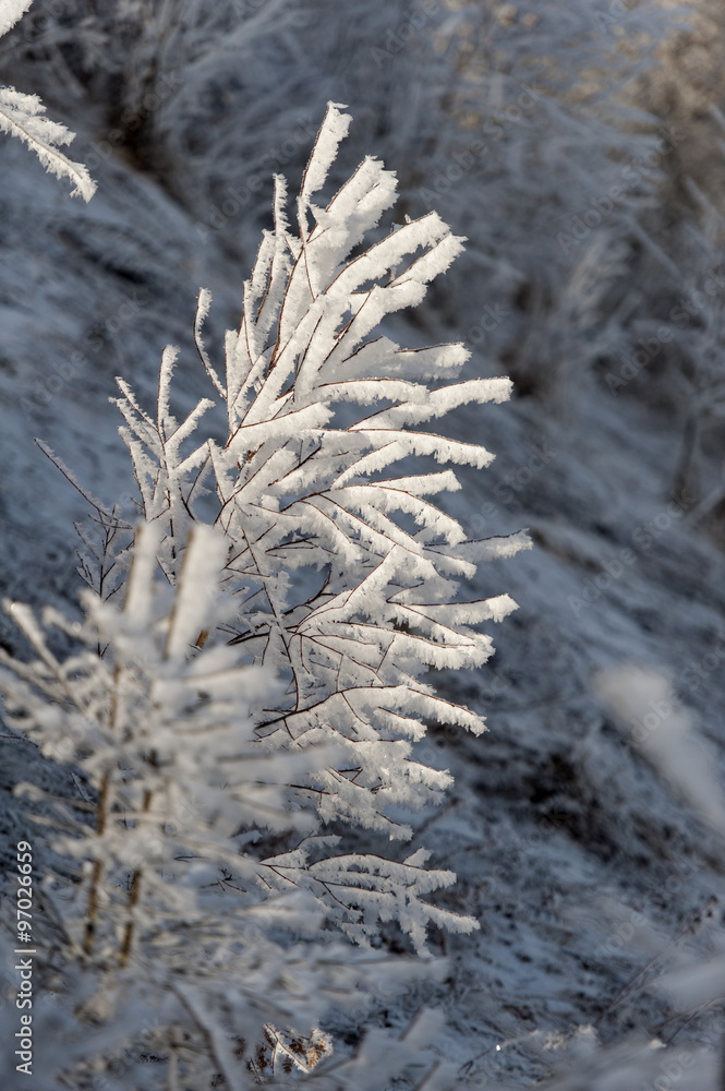 Winter landscape. Frost morning in mountains. Winter landscape. Frost morning in mountains.