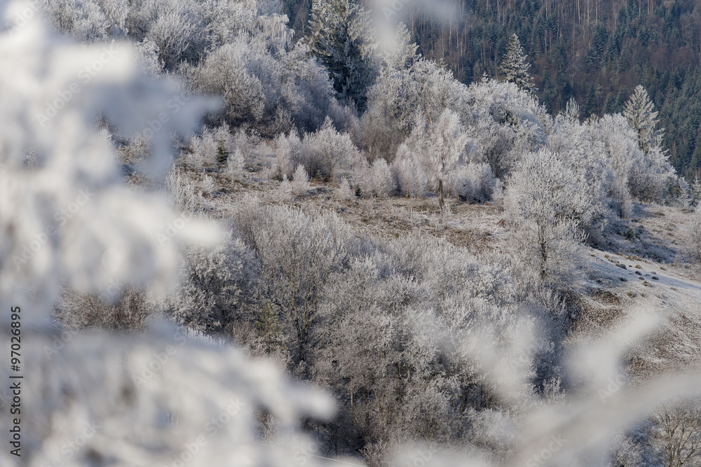 Winter landscape. Frost morning in mountains. Winter landscape. Frost morning in mountains.