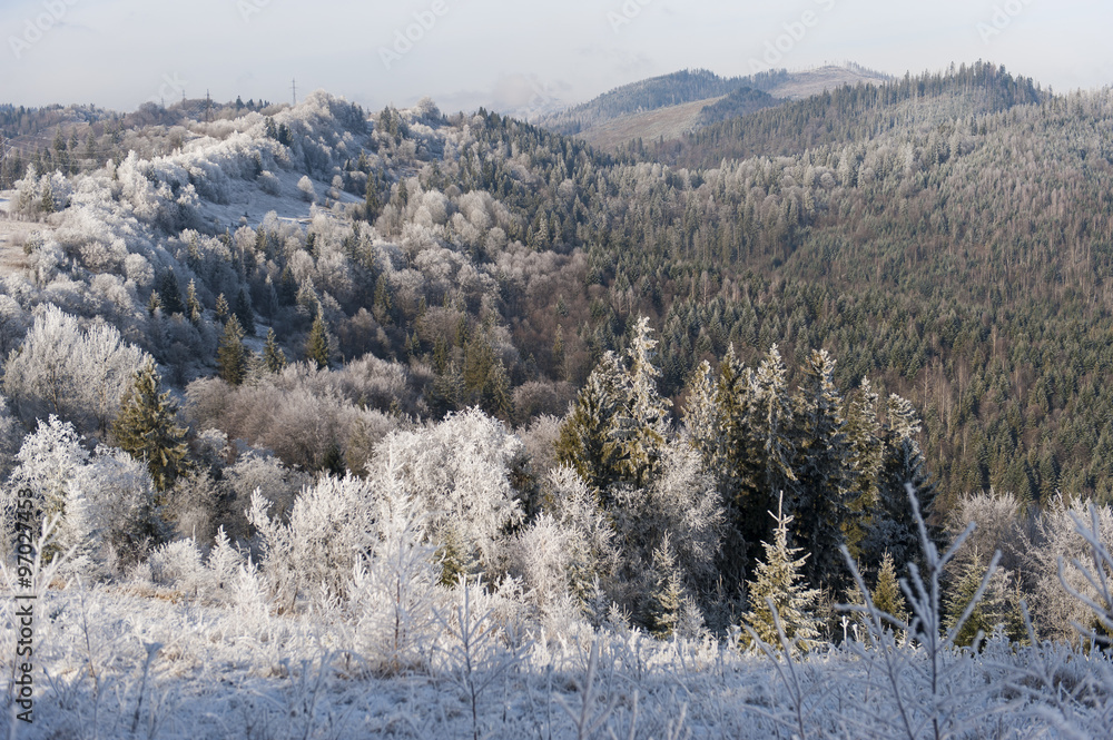 Winter landscape. Frost morning in mountains. Winter landscape. Frost morning in mountains.