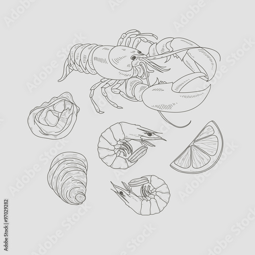 Vector seafood line drawing set