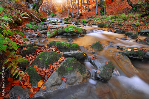 Fototapeta Naklejka Na Ścianę i Meble -  Autumn landscape with trees and river