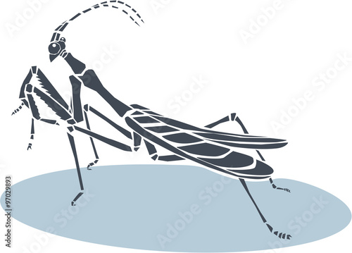 Vector illustration of praying mantis
