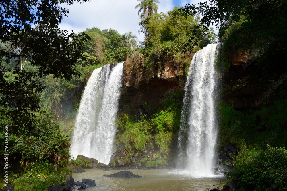 Fototapeta premium アルゼンチン側のイグアスの滝