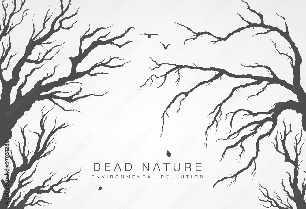 dried tree branches with birds and leaves