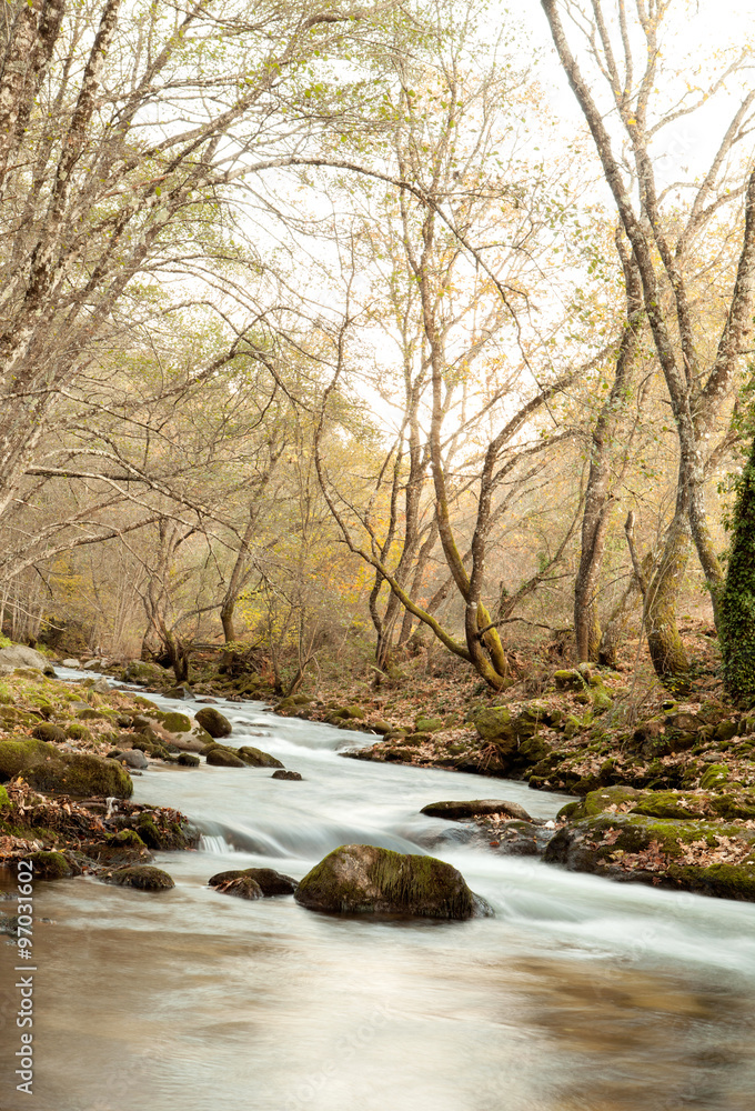 Autumn landscape with a river surrounded by trees Autumn landscape with a river surrounded by trees