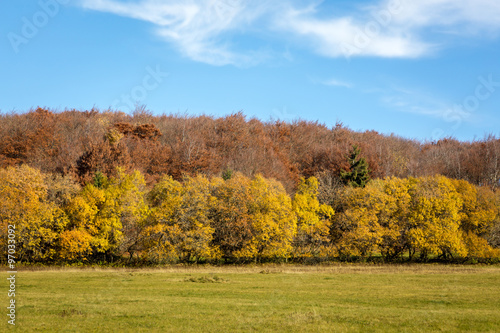 Autumnal Landscape with a meadow and a forest.