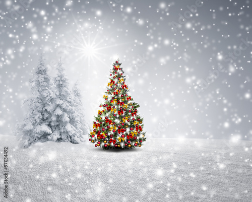 Christbaum in Winterlandschaft
