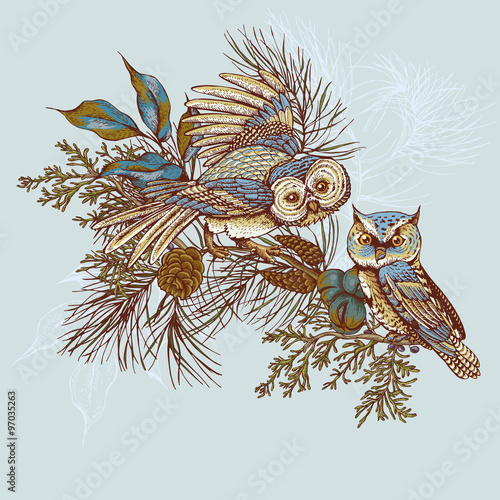 Ghristmas greeting card with owls, spruce and fir cones