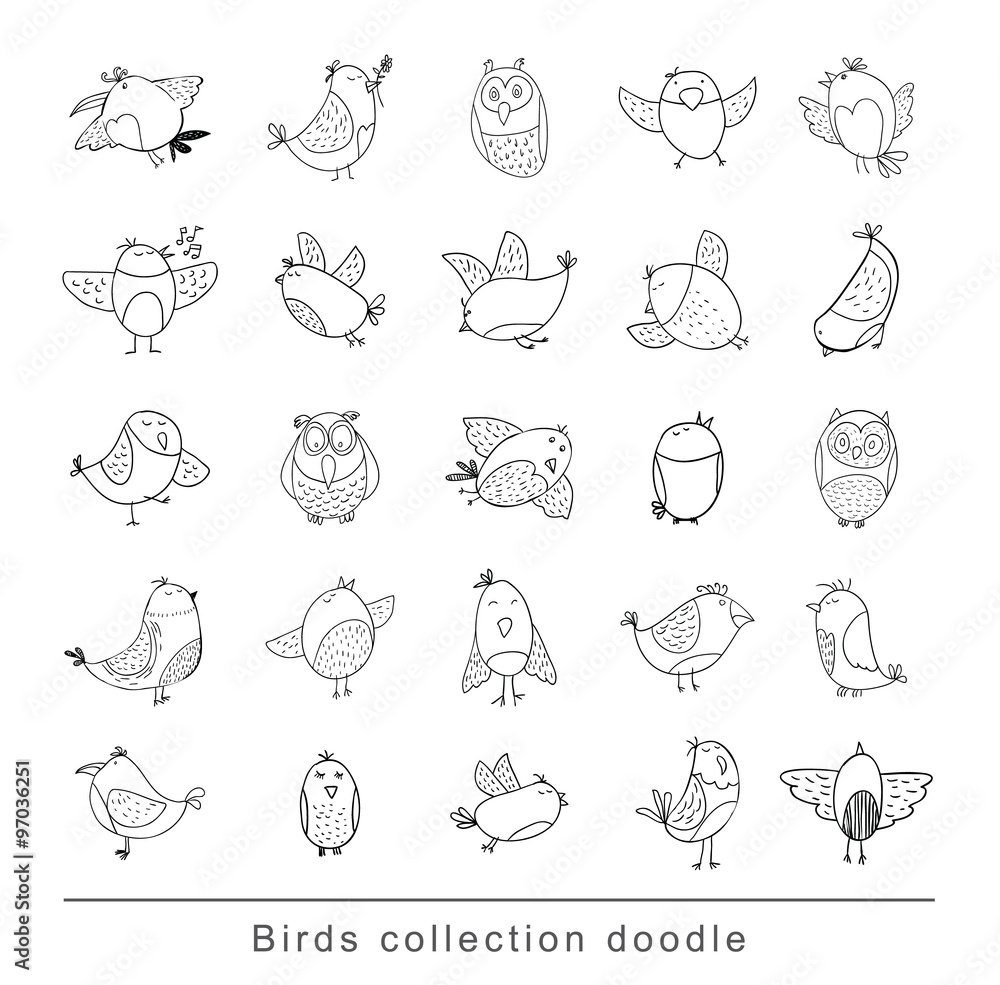 Bird doodle set. vector illustration. Stock Vector Adobe Stock
