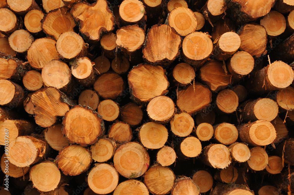 Holzstapel