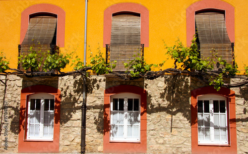 Trained vine on street facade, Banos de Montemayor