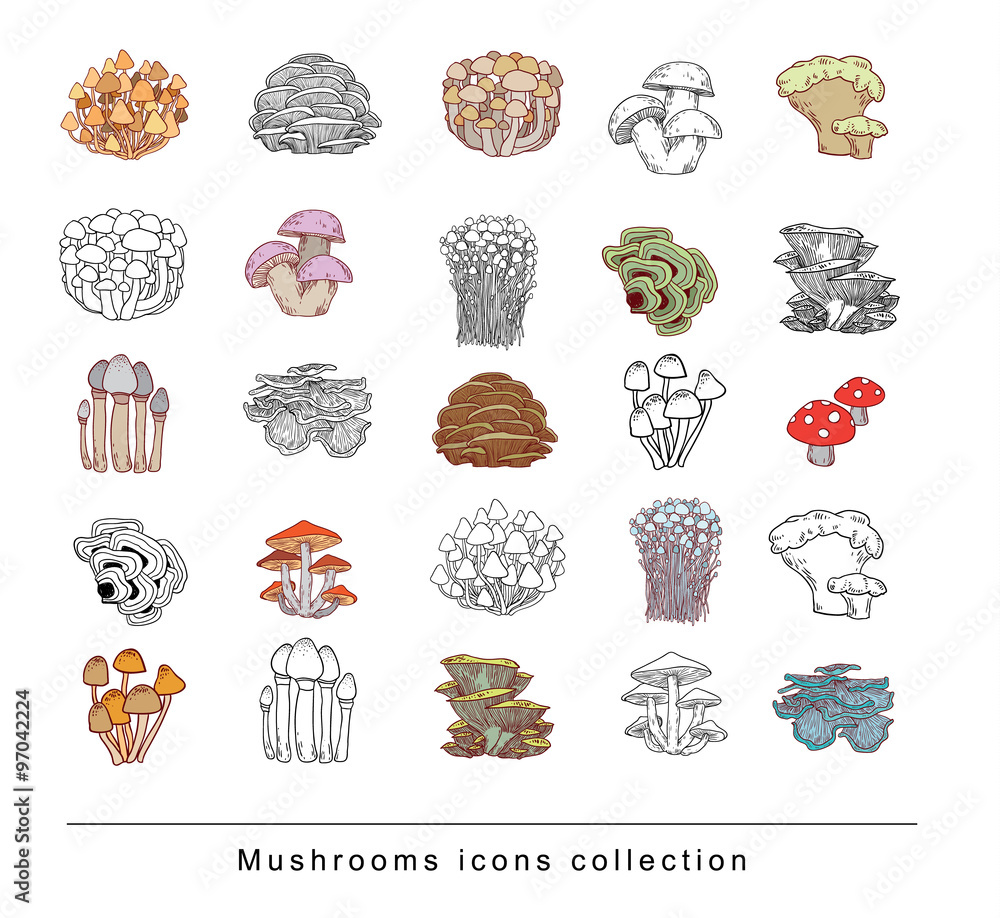 mushrooms set icons, vector illustration. mushrooms set icons, vector illustration.