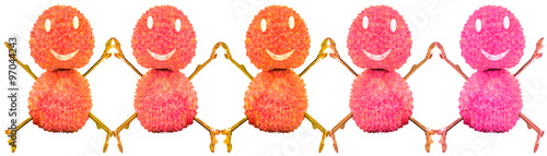 Fotografie ribambelle de litchis pantins souriants