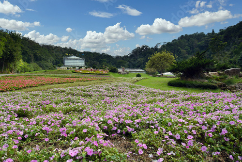 Fototapeta Naklejka Na Ścianę i Meble -  Queen Sirikit botany garden national park in Chiangmai city Thailand