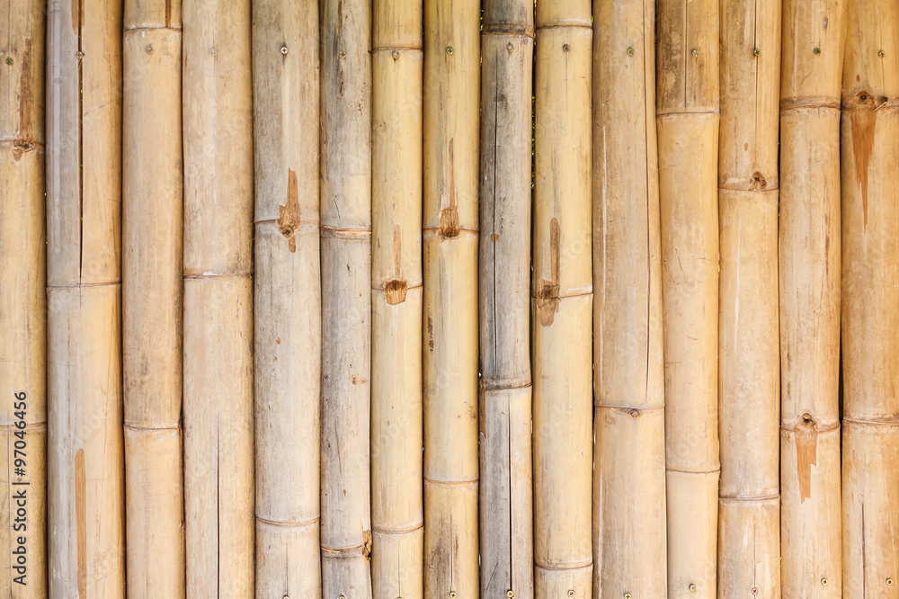 Fototapeta premium bamboo fence background