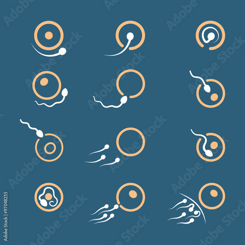 egg and sperm