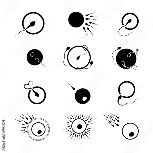 egg and sperm