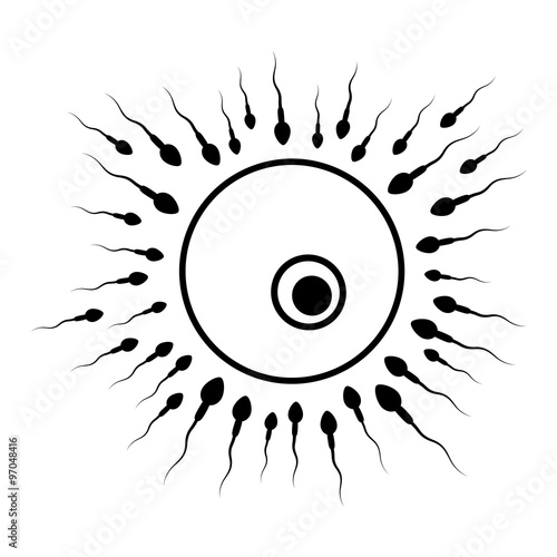 sperm and egg