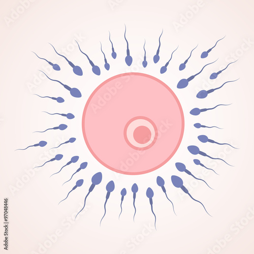 sperm and egg