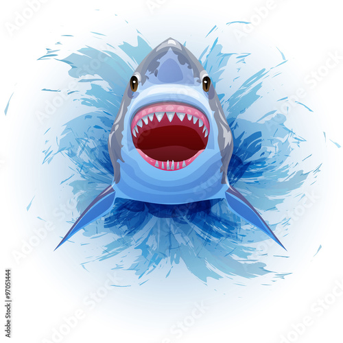 shark