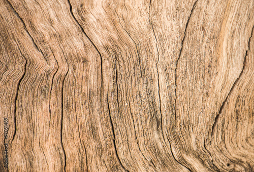 wood surface