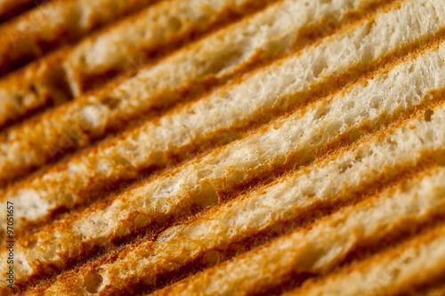 Toast Texture