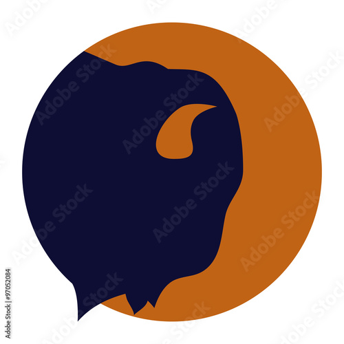 Bison