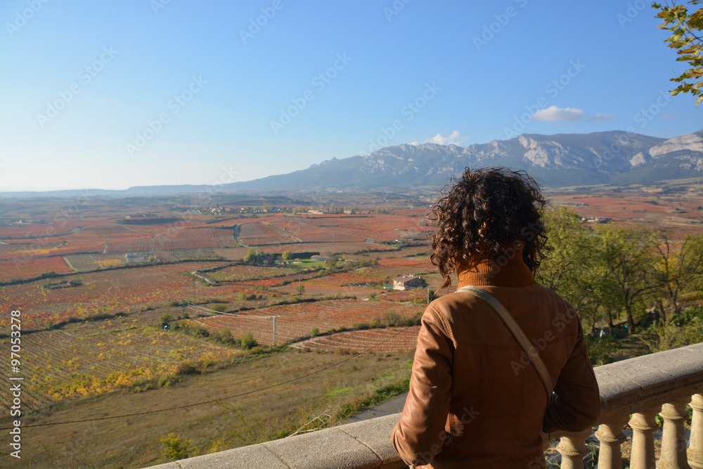 colores de otoño en los viñedos de La Rioja